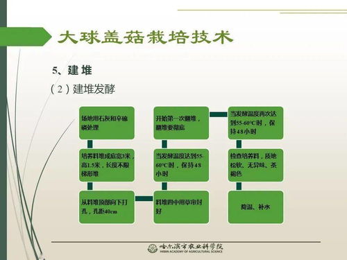 黨建引領(lǐng)謀發(fā)展 科技助農(nóng)備春耕 大球蓋菇栽培技術(shù)網(wǎng)絡(luò)課堂推動農(nóng)業(yè)現(xiàn)代化